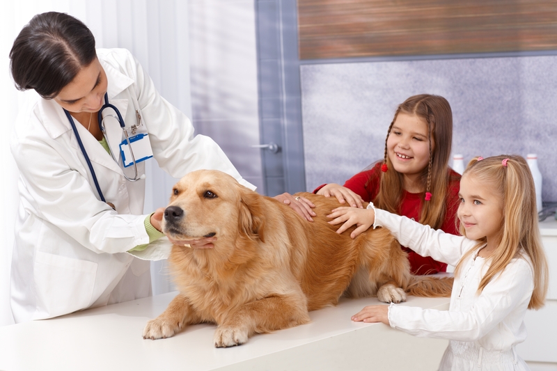 little-girls-and-dog-at-pets-clinic-06173237835