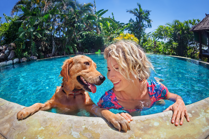 funny-portrait-of-smiley-woman-with-dog-in-swimming-pool-064861658835